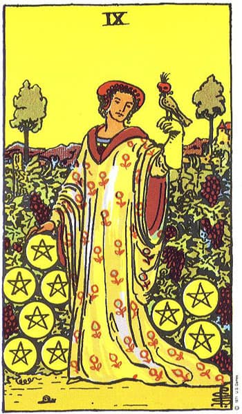 Nine of Pentacles (Sembilan Koin)